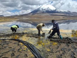 CONAF cierra indefinidamente sector Chungará del Parque Nacional Lauca por emergencia ambiental