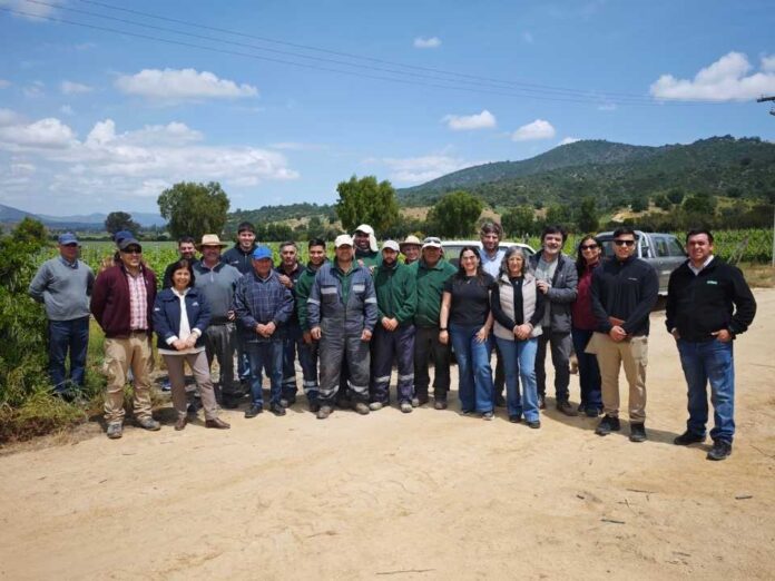 Capacitación en riego fortalece el capital humano agrícola en Casablanca y San Antonio para una gestión hídrica más eficiente