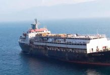 Casi 3 mil vacas uruguayas no pudieron ser descargadas en Turquía y morirían de hambre en el regreso