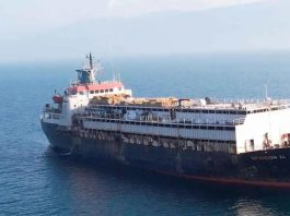 Casi 3 mil vacas uruguayas no pudieron ser descargadas en Turquía y morirían de hambre en el regreso