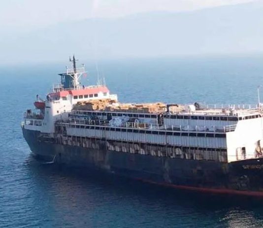 Casi 3 mil vacas uruguayas no pudieron ser descargadas en Turquía y morirían de hambre en el regreso Casi 3 mil vacas uruguayas no pudieron ser descargadas en Turquía y morirían de hambre en el regreso