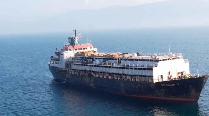 Casi 3 mil vacas uruguayas no pudieron ser descargadas en Turquía y morirían de hambre en el regreso Casi 3 mil vacas uruguayas no pudieron ser descargadas en Turquía y morirían de hambre en el regreso