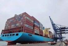 Argentina | Cereza caída generalizada de precios en los mercados