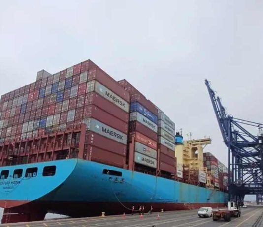 Argentina | Cereza caída generalizada de precios en los mercados