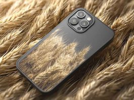 Chile desarrolla un dispositivo con inteligencia artificial para mejorar la calidad y precisión de las semillas