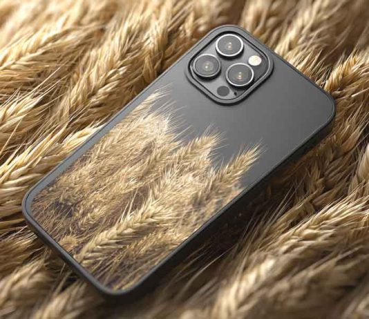 Chile desarrolla un dispositivo con inteligencia artificial para mejorar la calidad y precisión de las semillas