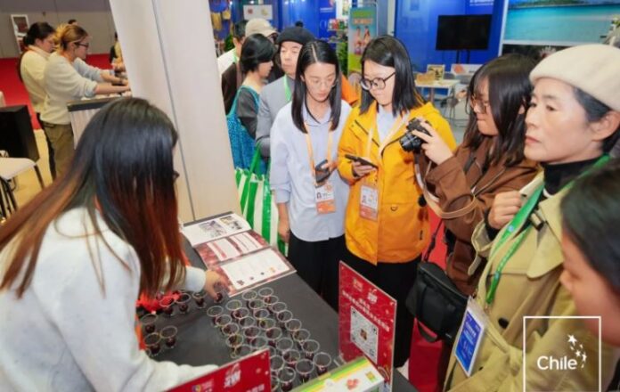 China: Cereza, la fruta estrella del pabellón chileno en CIIE 2025 China: Cereza, la fruta estrella del pabellón chileno en CIIE 2025