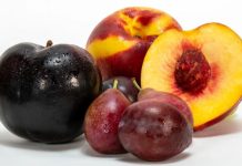 China publica norma fitosanitaria para el ingreso de carozos frescos de Sudáfrica Exportaciones iniciarían para el Año Nuevo Chino