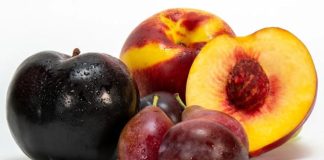 China publica norma fitosanitaria para el ingreso de carozos frescos de Sudáfrica: Exportaciones iniciarían para el Año Nuevo Chino China publica norma fitosanitaria para el ingreso de carozos frescos de Sudáfrica Exportaciones iniciarían para el Año Nuevo Chino