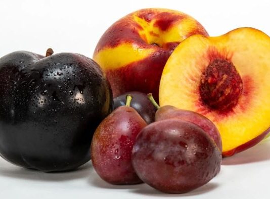 China publica norma fitosanitaria para el ingreso de carozos frescos de Sudáfrica Exportaciones iniciarían para el Año Nuevo Chino