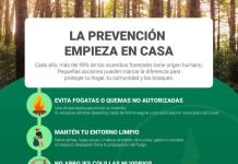 Cinco consejos para prevenir incendios forestales este verano