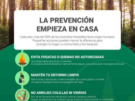 Cinco consejos para prevenir incendios forestales este verano