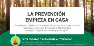 Cinco consejos para prevenir incendios forestales este verano