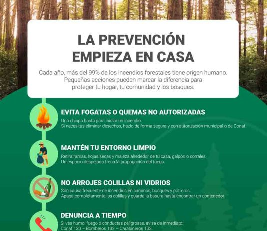 Cinco consejos para prevenir incendios forestales este verano