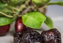 Ciruela deshidratada chilena: esperada alza de producción de 20% entre 2025 y 2030