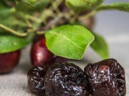 Ciruela deshidratada chilena: esperada alza de producción de 20% entre 2025 y 2030