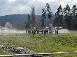 Corfo apoya diplomado en Gestión Hídrica: Esperanza y soluciones frente a la escasez de agua en La Araucanía Corfo apoya diplomado en Gestión Hídrica: Esperanza y soluciones frente a la escasez de agua en La Araucanía