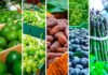 Tendencias en consumo mundial que están beneficiando al agro peruano