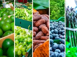 Tendencias en consumo mundial que están beneficiando al agro peruano Tendencias en consumo mundial que están beneficiando al agro peruano