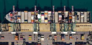 DP World San Antonio refuerza servicios directos y proyecta exitosa “Chearry Season” 2025-26 antes del Año Nuevo Chino