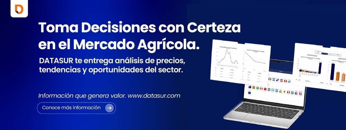 Datasur Mercado Agrícola