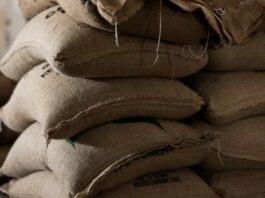 Del campo a la exportación: cómo La Niña puede afectar los precios de las materias primas Del campo a la exportación cómo La Niña puede afectar los precios de las materias primas