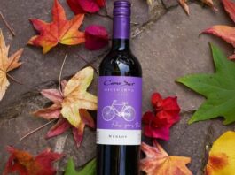 Día del Merlot un vino versátil, perfecto para disfrutar