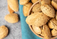 España: Pronostican producción histórica de Almendras y exportación récord para 2025/2026 España: Pronostican producción histórica de Almendras y exportación récord para 2025/2026