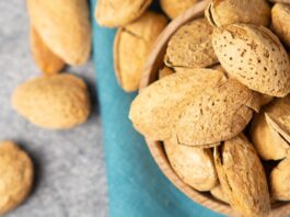 España: Pronostican producción histórica de Almendras y exportación récord para 2025/2026 España: Pronostican producción histórica de Almendras y exportación récord para 2025/2026