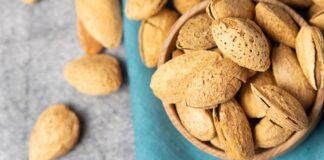 España: Pronostican producción histórica de Almendras y exportación récord para 2025/2026 España: Pronostican producción histórica de Almendras y exportación récord para 2025/2026