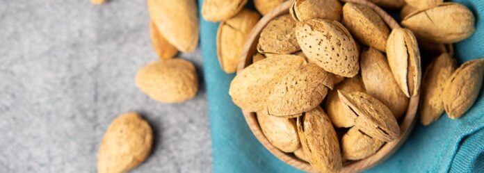 Diseno-sin-titulo-2025-11-12T151327.651 España: Pronostican producción histórica de Almendras y exportación récord para 2025/2026