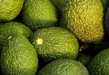 EE.UU. ajusta aranceles para productos agrícolas y favorece a exportadores chilenos EE.UU. ajusta aranceles para productos agrícolas y favorece a exportadores chilenos