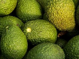 EE.UU. ajusta aranceles para productos agrícolas y favorece a exportadores chilenos