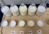 Investigadores de INIA analizan leches con colorantes naturales en innovadora evaluación sensorial