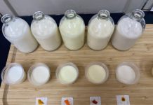 Investigadores de INIA analizan leches con colorantes naturales en innovadora evaluación sensorial