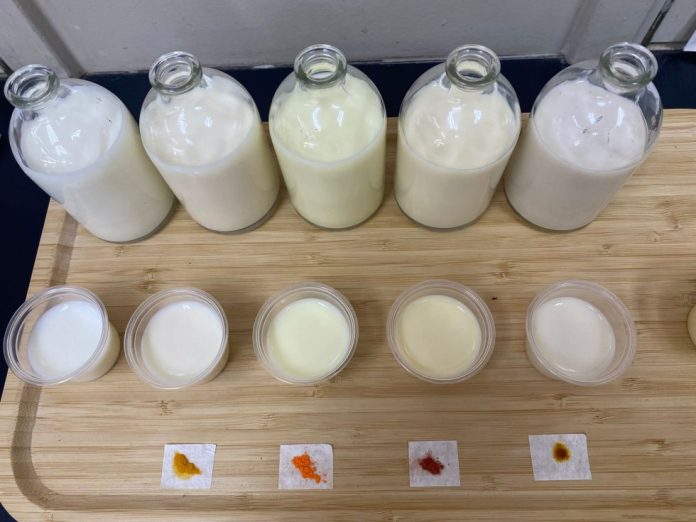 Investigadores de INIA analizan leches con colorantes naturales en innovadora evaluación sensorial
