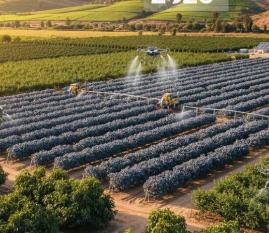 El Pulso de la Competencia: Gigante Peruano del Agro Prioriza Arándanos y Paltas, mientras Reevalúa El Pulso de la Competencia Gigante Peruano del Agro Prioriza Arándanos y Paltas, mientras Reevalúa