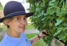 El primer laboratorio digital frutícola de Chile que mide las condiciones fenológicas del cultivo en tiempo real desde una app móvil