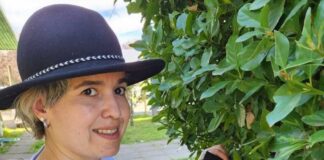 El primer laboratorio digital frutícola de Chile que mide las condiciones fenológicas del cultivo en tiempo real desde una app móvil