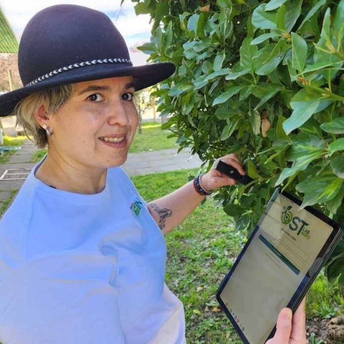 El primer laboratorio digital frutícola de Chile que mide las condiciones fenológicas del cultivo en tiempo real desde una app móvil