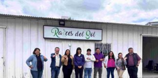 Empresas campesinas de Quillón abren nuevos mercados