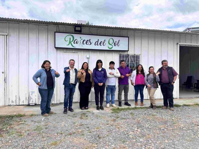 Empresas campesinas de Quillón abren nuevos mercados