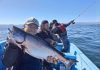 Entre salmones y conciencia ambiental: el boom de la pesca deportiva en Chiloé