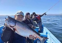 Entre salmones y conciencia ambiental: el boom de la pesca deportiva en Chiloé