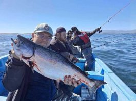 Entre salmones y conciencia ambiental: el boom de la pesca deportiva en Chiloé