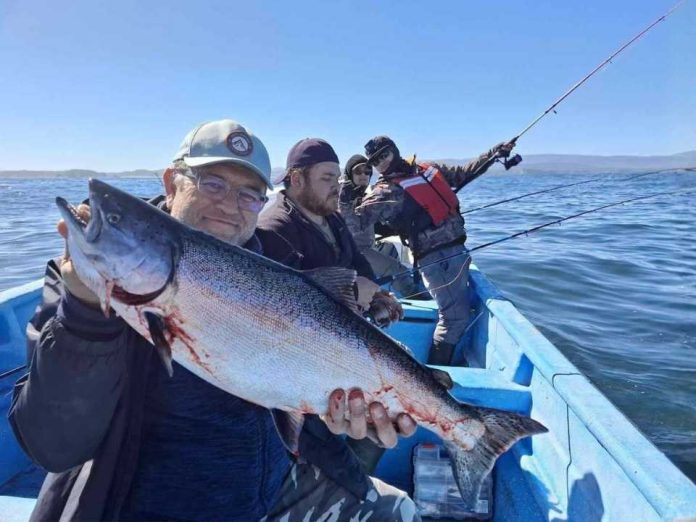 Entre salmones y conciencia ambiental: el boom de la pesca deportiva en Chiloé