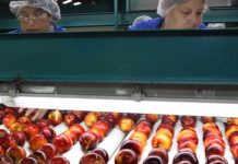 Estudio de Observatorio Laboral analizó la realidad laboral de la mujer en la agroindustria