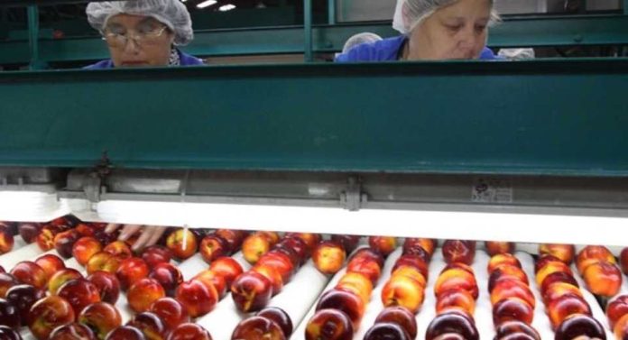 Estudio de Observatorio Laboral analizó la realidad laboral de la mujer en la agroindustria