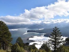 Estudio revela creciente amenaza a la sostenibilidad y las metas 2030 el abandono de medidas de conservación