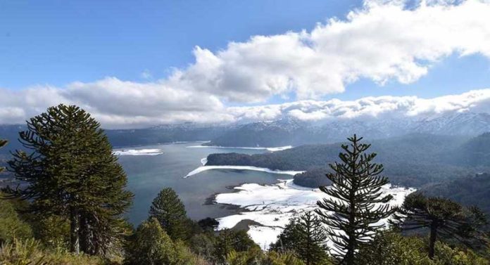 Estudio revela creciente amenaza a la sostenibilidad y las metas 2030 el abandono de medidas de conservación